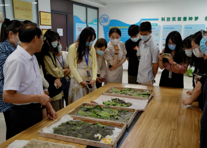 1684388972502216.png 2.png